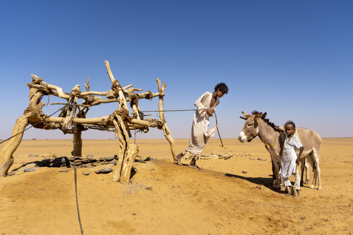 Gesti. Attese. Presenze. Mostra personale.